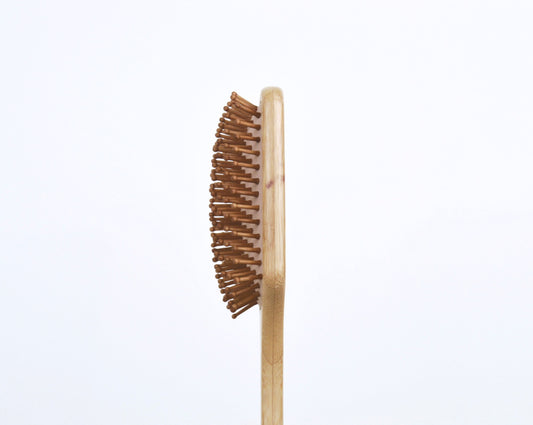 Bamboo Brush